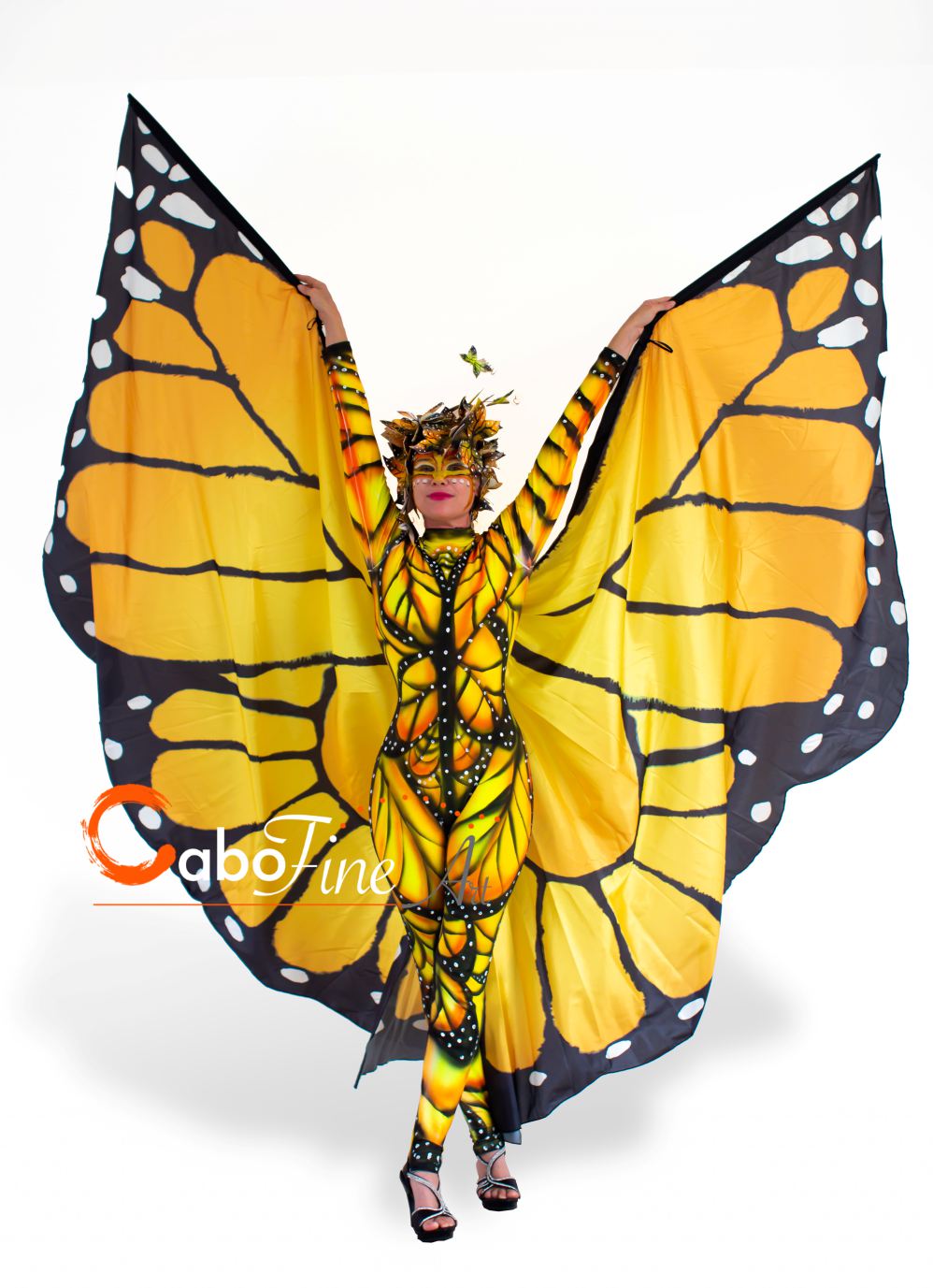 mariposa monarca cl