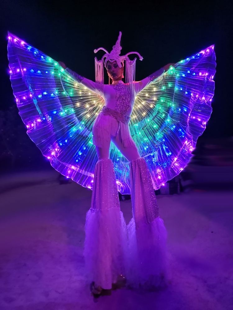 Cabo Fine Entertainment Led stilts